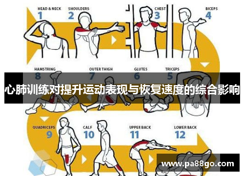 心肺训练对提升运动表现与恢复速度的综合影响